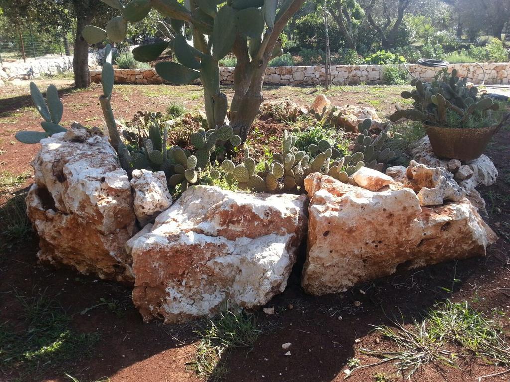 Caserurali Ceglie Messapica Exterior foto